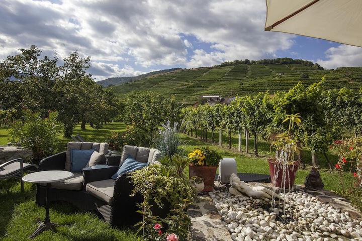 BAUERNHOF WEINGUT DONABAUM