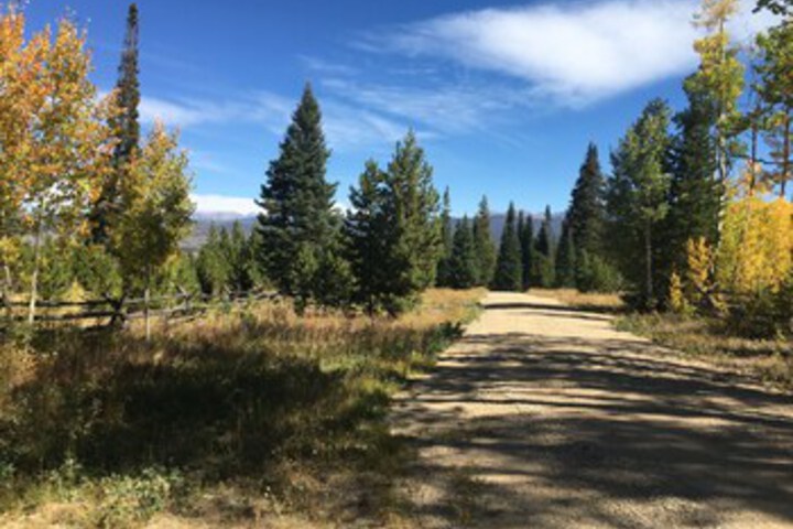 Property Grounds 31 of 39