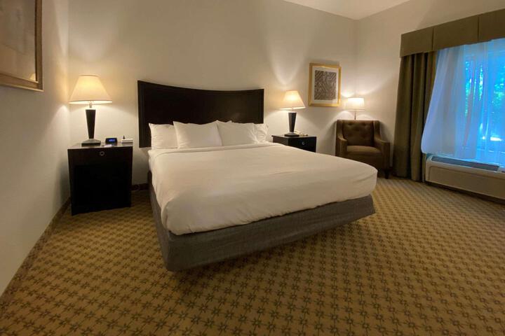 1 King Bed (6 of 14)