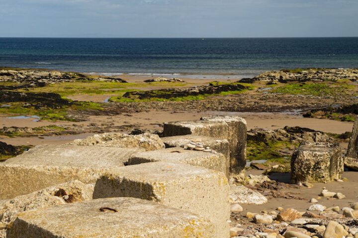 Beach 50 of 57