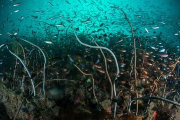 Water Sports 3 of 27