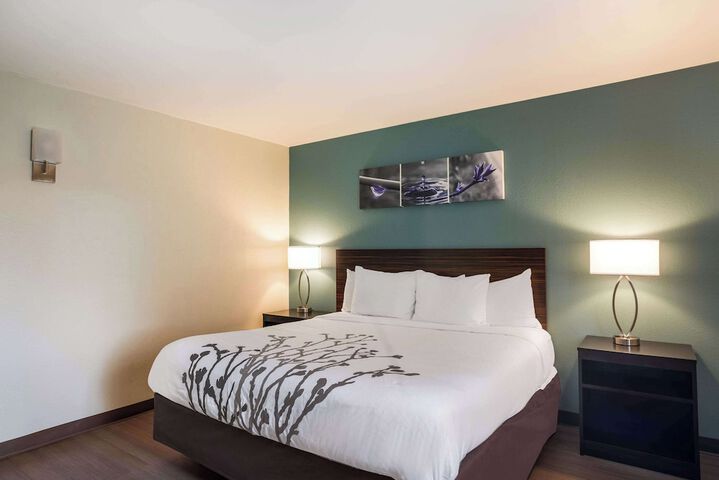 1 King Bed (8 of 18)