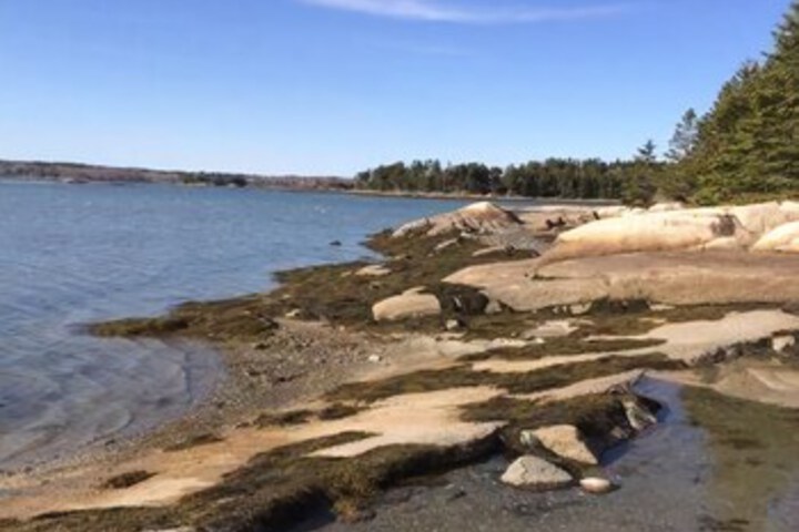 Beach 10 of 47