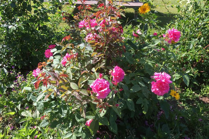 Hotel Exterior 31 of 37