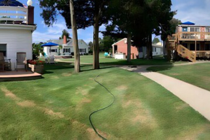 Property Grounds 85 of 85