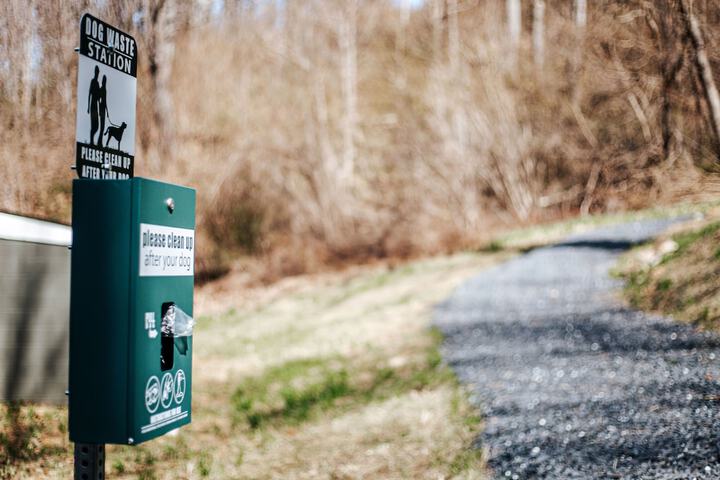 Pet Friendly 41 of 52