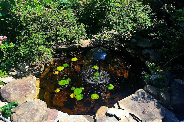 Property Grounds 94 of 115