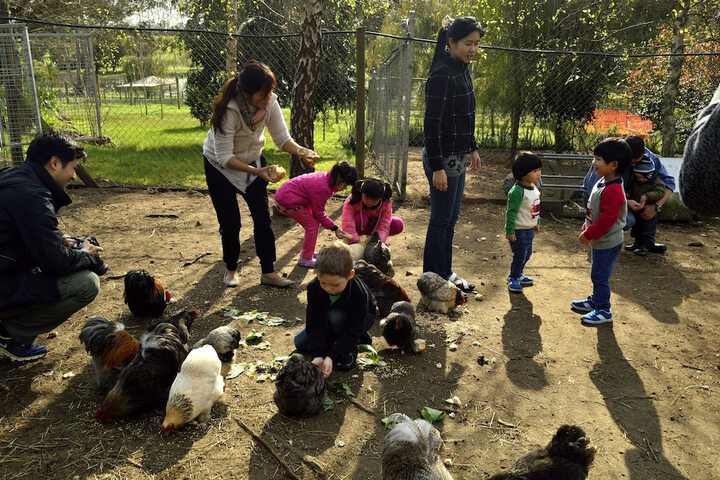 Childrens Activities 60 of 144