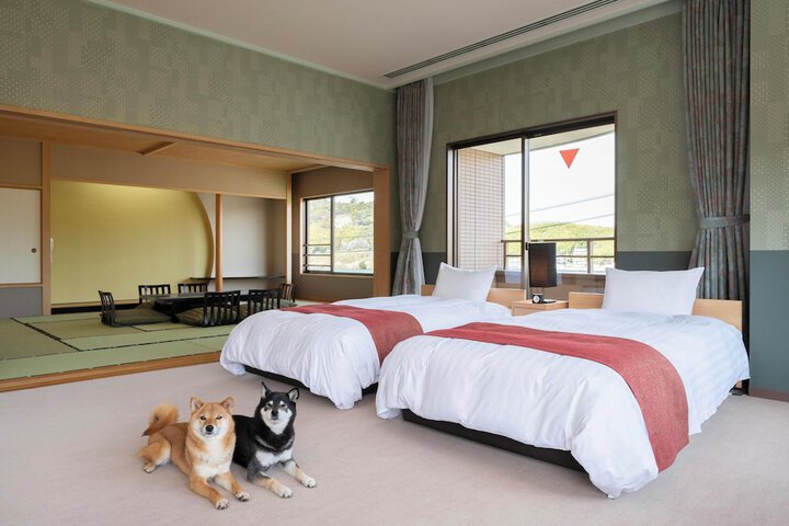 Pet-friendly