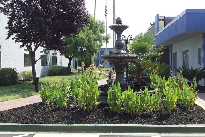 Courtyard