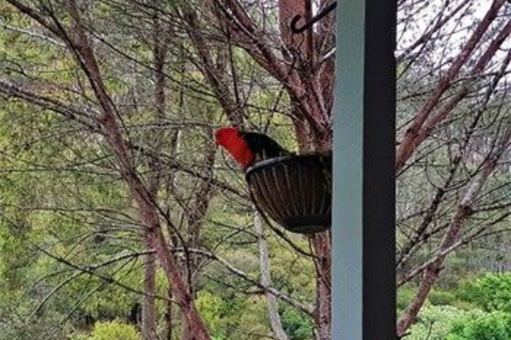 Terrace/Patio 2 of 28