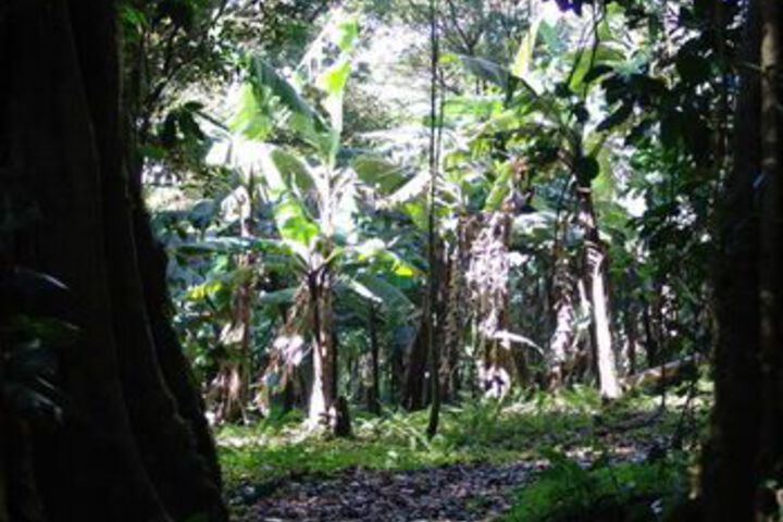 Property Grounds 19 of 20