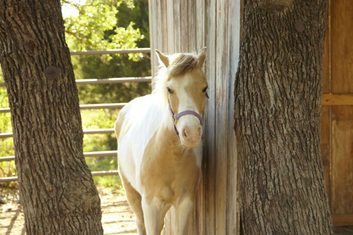 Property Grounds 46 of 55