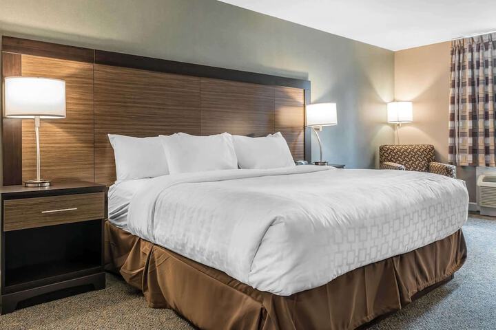 1 King Bed (1 of 16)