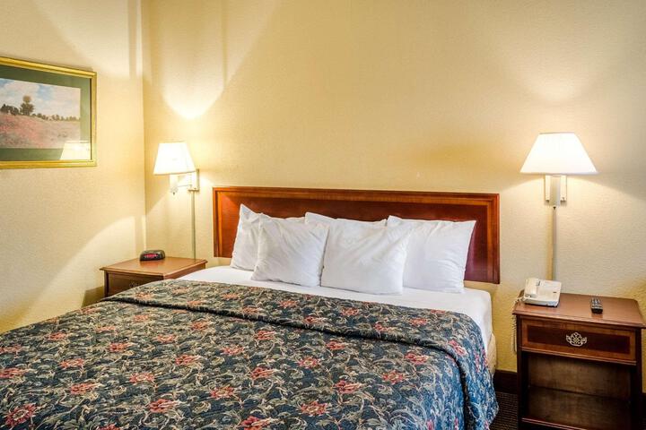 Deluxe Room 1 King Bed Refrigerator, Microwave (6 of 13)