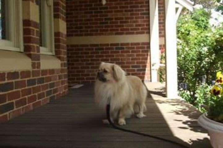 Terrace/Patio 17 of 17