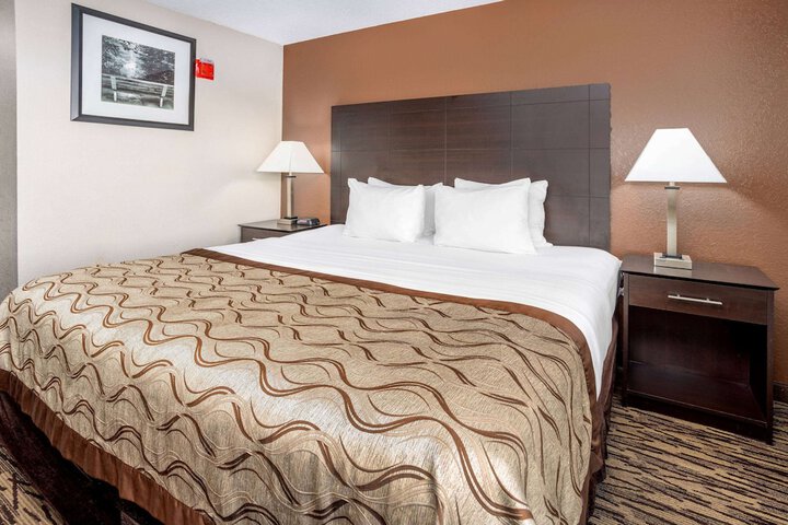 1 King Bed (12 of 13)