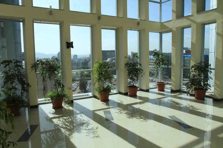 Interior detail