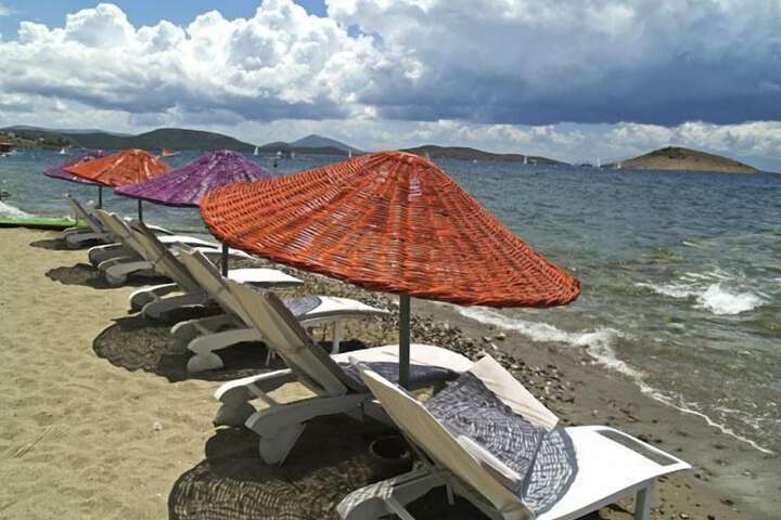 Beach 60 of 85