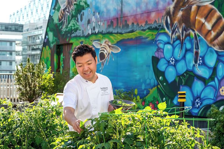 Property Grounds 101 of 110