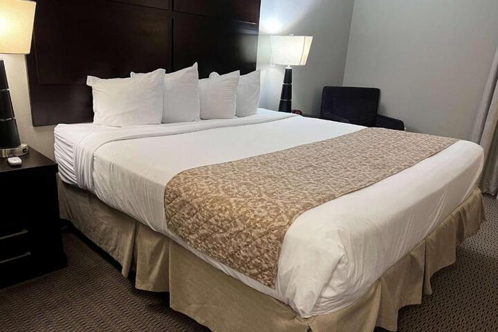 1 King Bed (3 of 8)