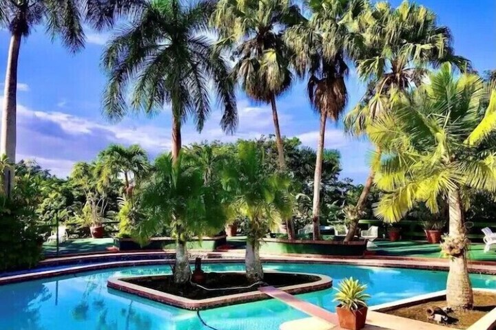Pool 44 of 83