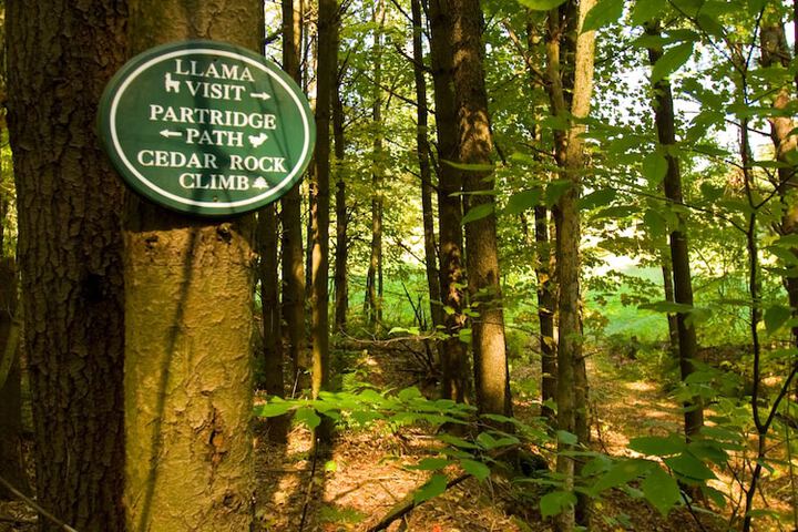 Outdoor Activities 46 of 63