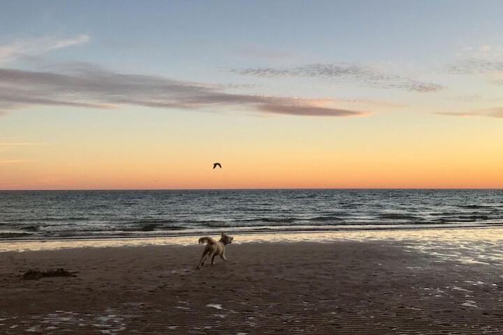 Beach 595 of 599