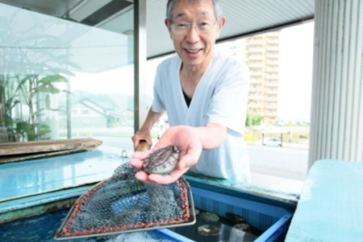 Live abalone being taken out of the tank
