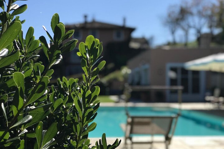 Hotel Pool
