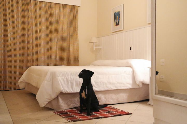 Pet-friendly