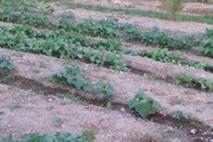 Property Grounds 24 of 27