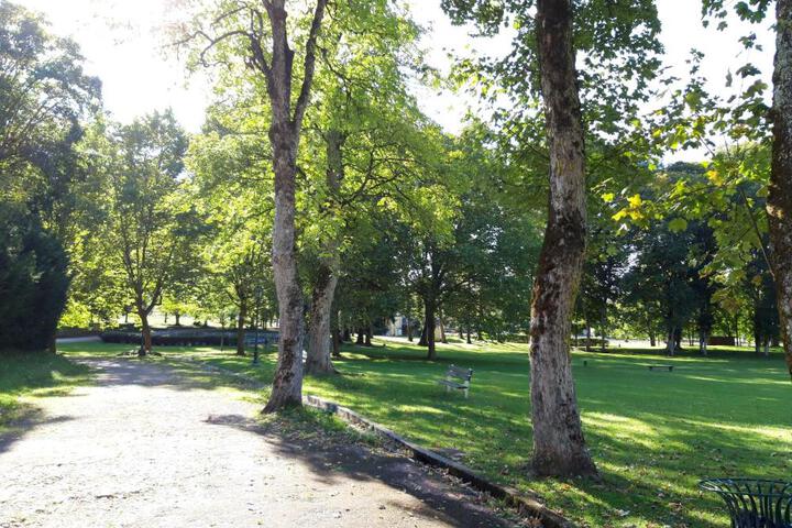 Photo 26