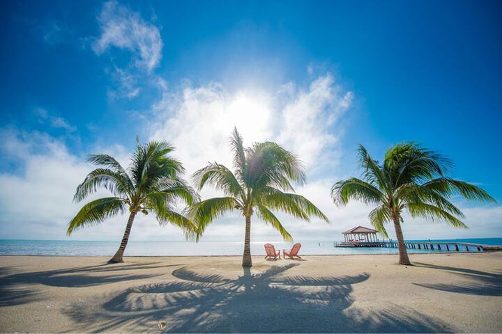 Beach 55 of 67