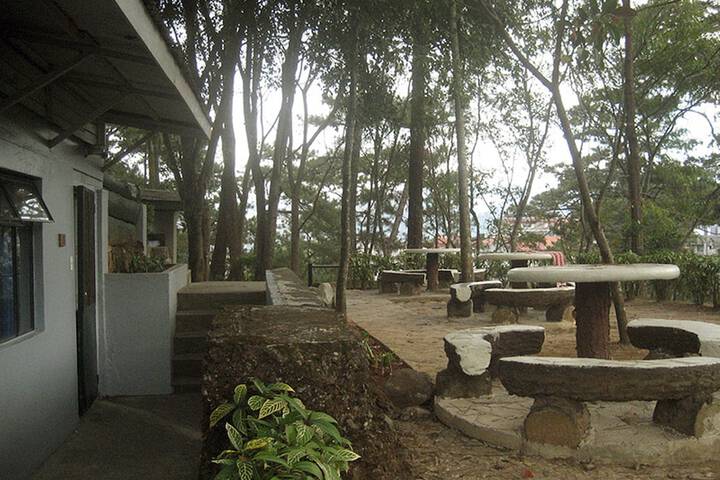 Dining 40 of 44