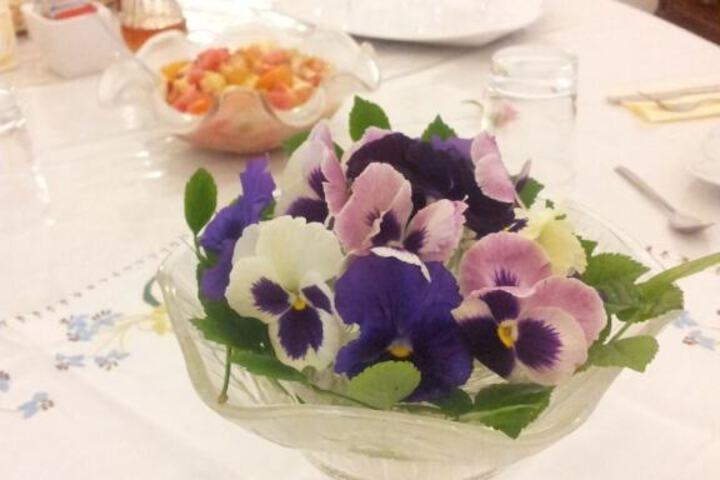 Photo 20