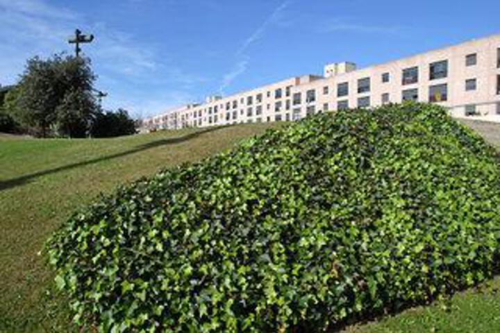 Photo of Vila Universitaria