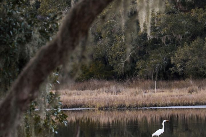 Hotel View 122 of 122