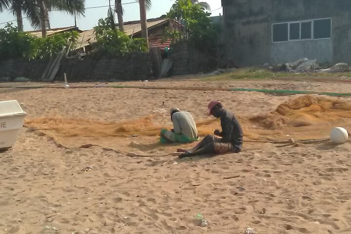 Beach 62 of 81