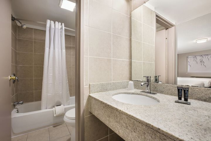 Standard Room, King or Two Doubles (1 of 9)