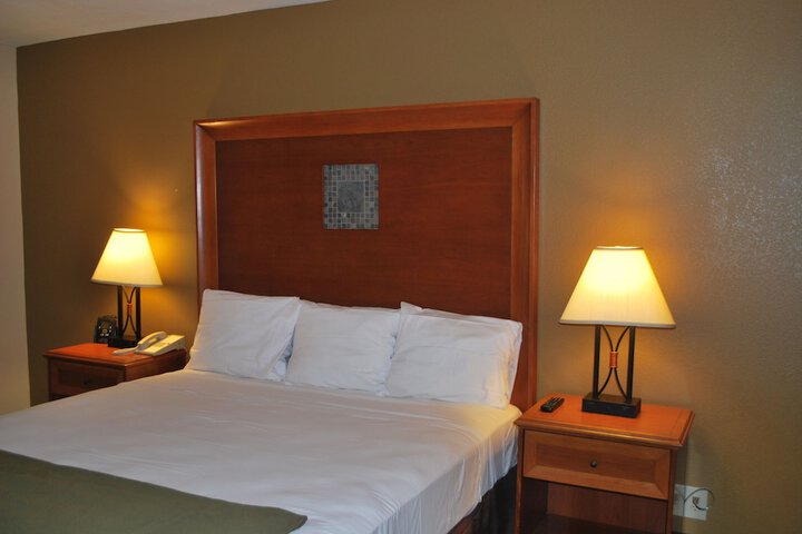 1 King Bed (8 of 12)