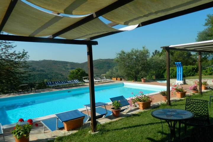 Pool 57 of 113