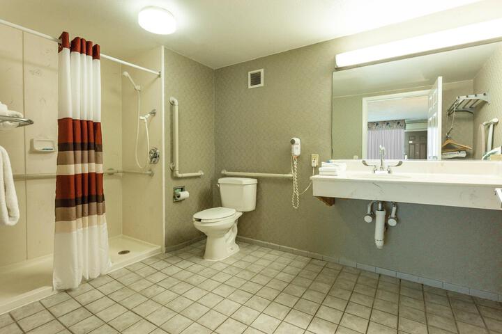 ADA Accessible Deluxe King with Roll in Shower (1 of 12)