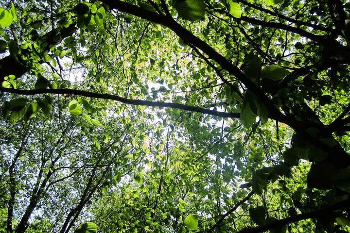 Outdoor Activities 292 of 345