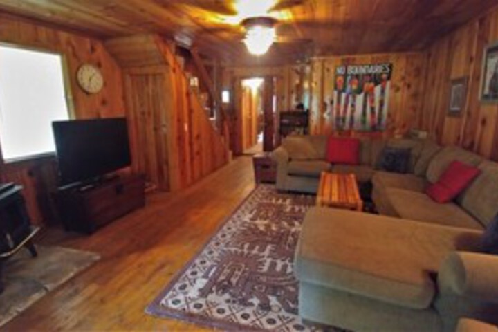 Bear_cave in Red River, NM