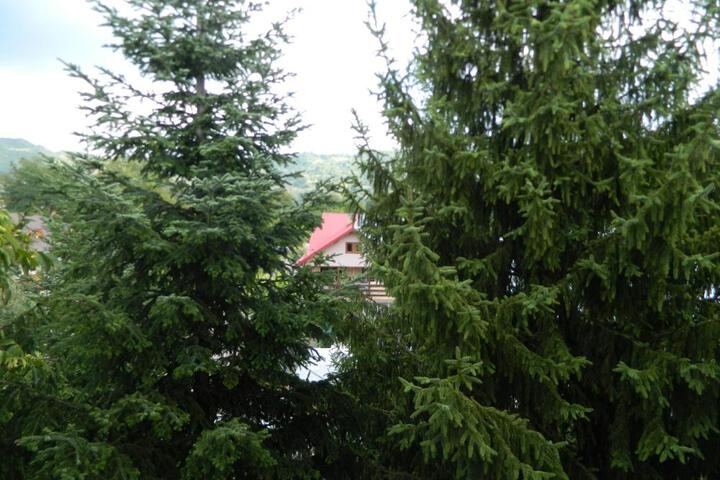 Hotel Breaza
