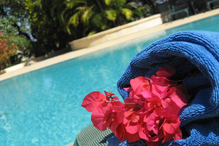 Pool to Cool
