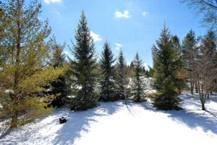 Property Grounds 37 of 55