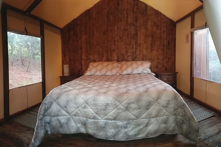 Room 7 of 37
