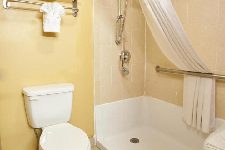2 Queen Beds Mobility Hearing Accessible Room Roll in Shower (10 of 46)